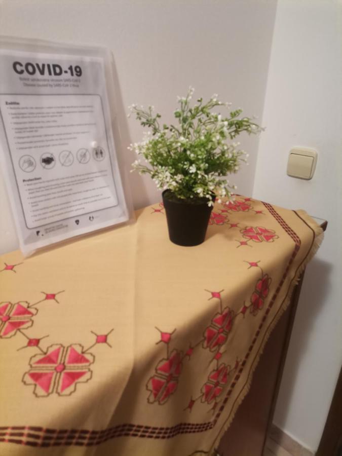 מאלינסקה Apartments Petrica מראה חיצוני תמונה
