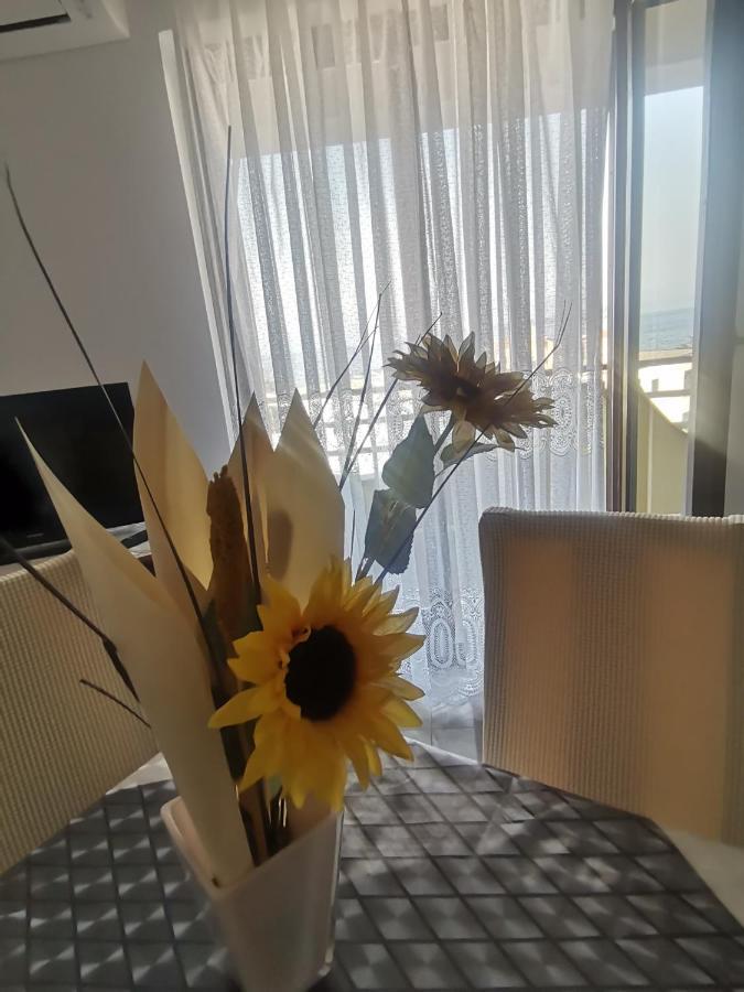 מאלינסקה Apartments Petrica מראה חיצוני תמונה