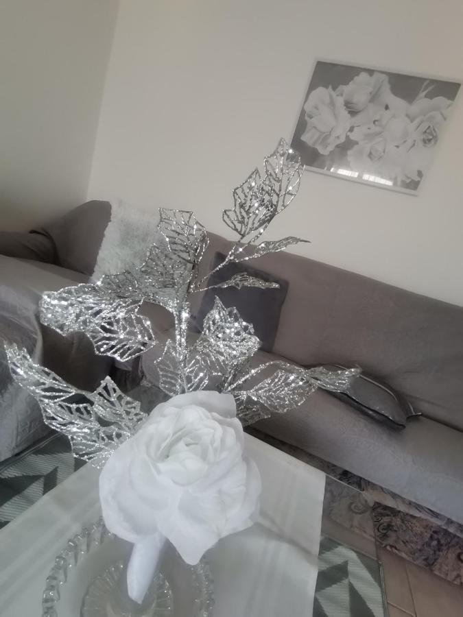 מאלינסקה Apartments Petrica מראה חיצוני תמונה